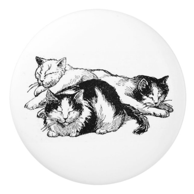 Schläfriges Schwarzweiss-Kätzchen der Katzen | Keramikknauf (Vorderseite)