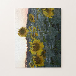 SCHLÄFRIGES SONNENBLUME-PUZZLESPIEL