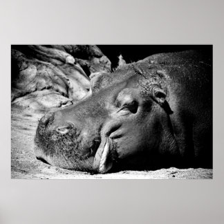 Schläfrigkeit Poster