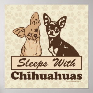 Schläft mit Chihuahuas Hund Poster