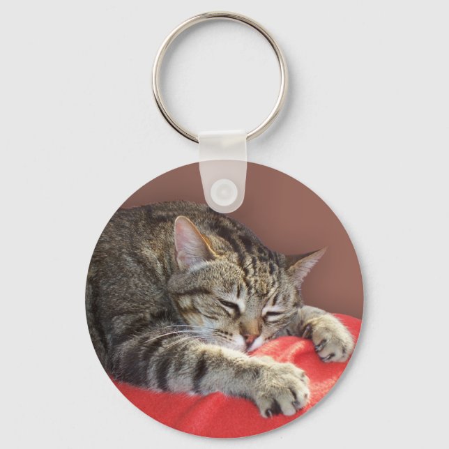 SchlafTabby Schlüsselanhänger (Vorderseite)