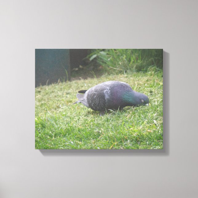 Schlaftaube Canvas Print Leinwanddruck (Vorderseite)
