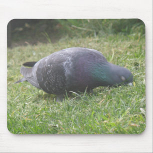 Schlaftaube Mousepad