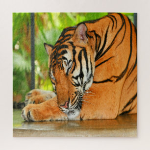 Schlaftiger