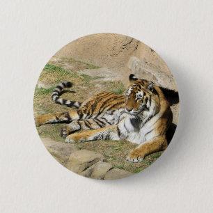 Schlaftiger Button