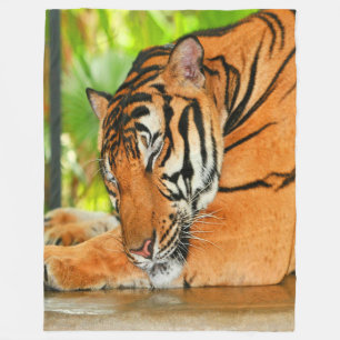 Schlaftiger Fleecedecke