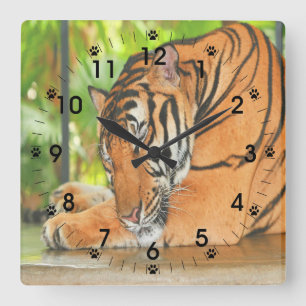 Schlaftiger Quadratische Wanduhr