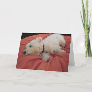 Schlafwestie Foto Grußkarte Karte