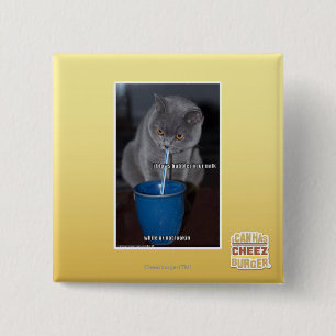 Schlag-Blasen in ur Milch Button