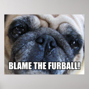 SCHLAG DEN FURBALL! ALLERGY MEME POSTER