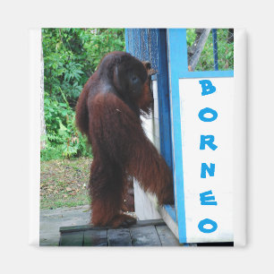 Schlag-Schlag-Nachbarschafts-Freunde Borneo Magnet