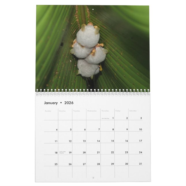 Schläger-Kalender Kalender (Jan 2026)