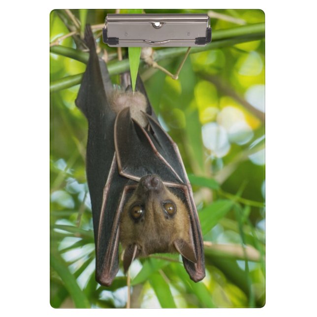 Schläger Klemmbrett (Vorderseite)