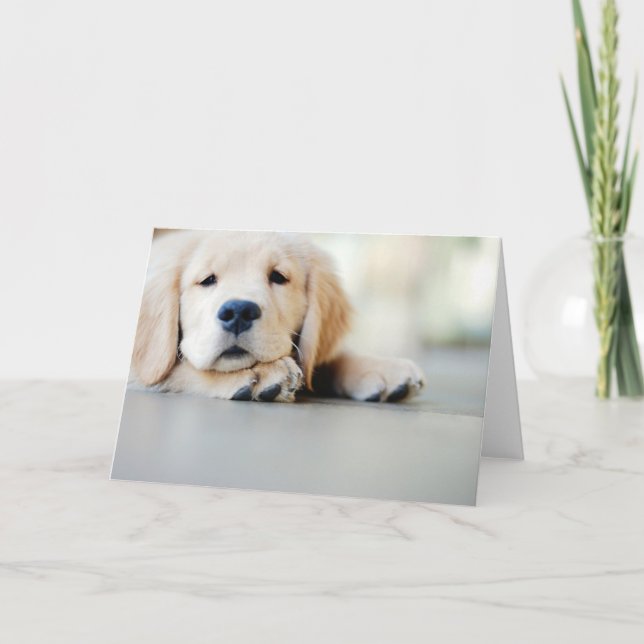 Schlampe, Golden Retriever Welpe Karte (Vorderseite)
