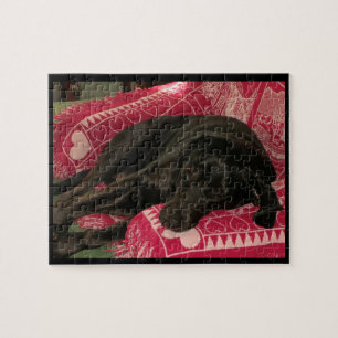 Schlampe-Hundepuzzle