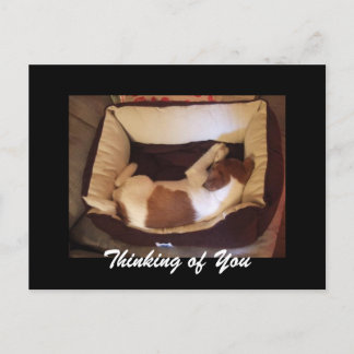 Schlampe Welpe - Denken Sie an Sie Postkarte