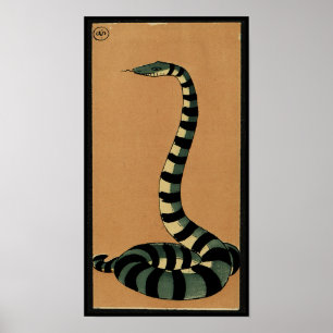 Schlange - Antiquarian, bunte Buchillustration Poster