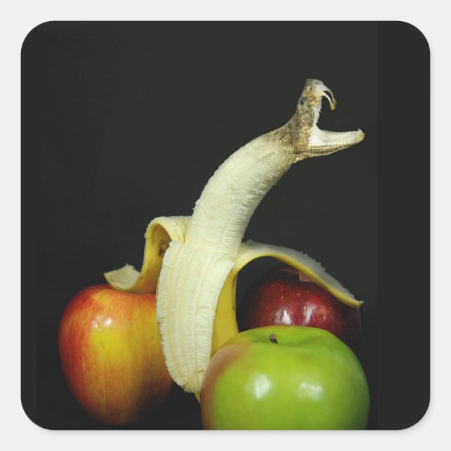 Schlange Banana mit Äpfeln Quadratischer Aufkleber (Vorderseite)