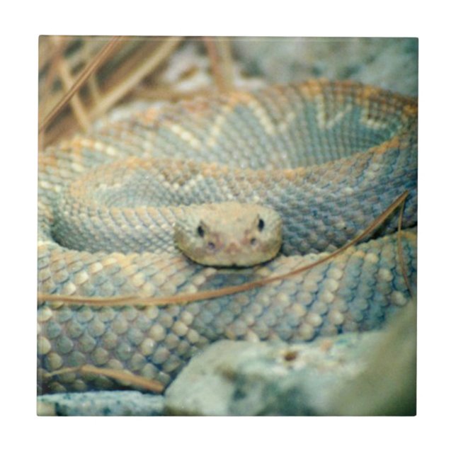 Schlange Keramik Tile Fliese (Vorderseite)