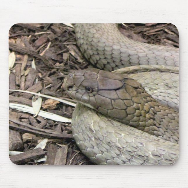 Schlange Mousepad (Vorne)