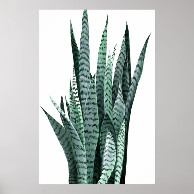 Schlange Pflanze Acrylmalerei Poster (Vorne)