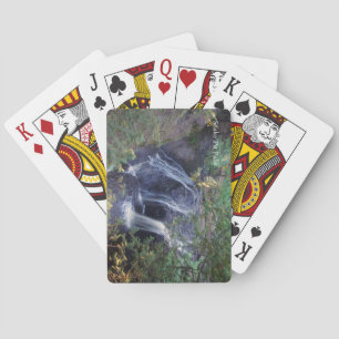 Schlange Pit Falls Spielkarten