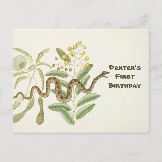 Schlange Postkarte (Vorderseite)