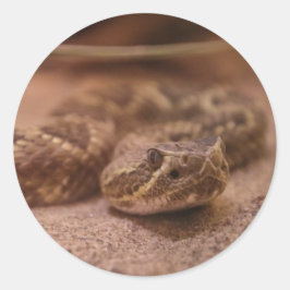 Schlange Runder Aufkleber