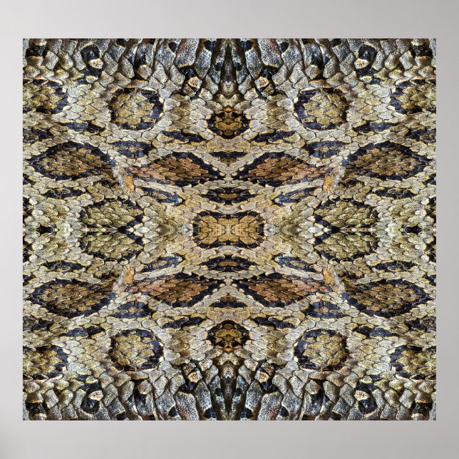 Schlange Skin Muster Textur Poster (Vorne)