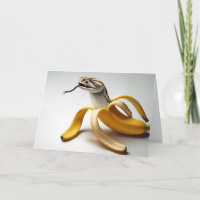 Schlange und Bananenfusion zum Geburtstag