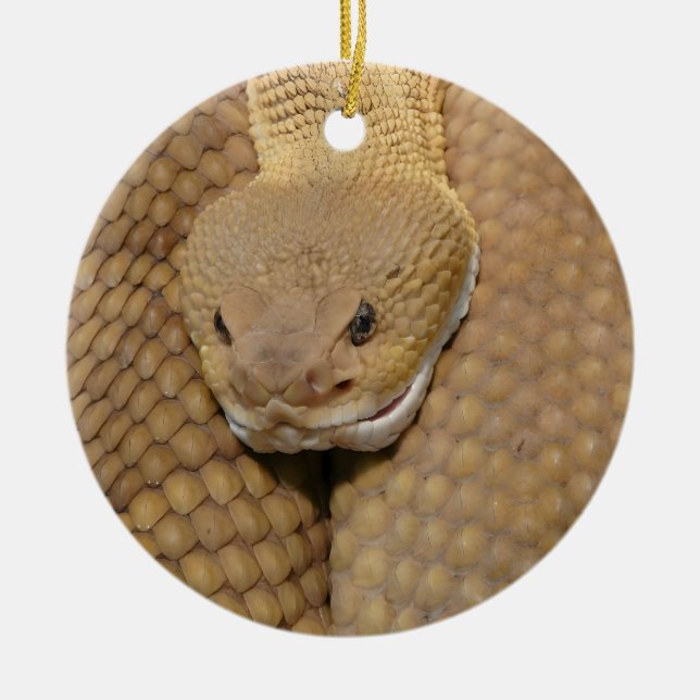 Schlange Weihnachtsschmuck Schlange Ornament (Vorne)