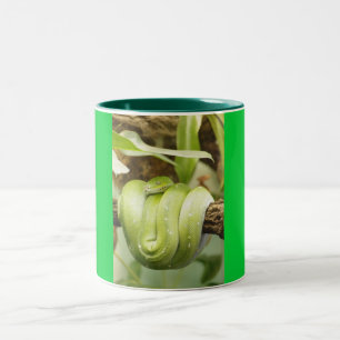 Schlange Zweifarbige Tasse