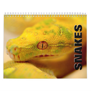 Schlangen 2022 Mauerkalender Kalender