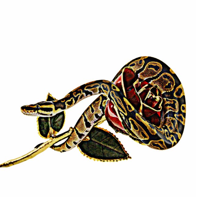 Schlangen-Foto-Skulpturpythonschlange Freistehende Fotoskulptur (Vorne)