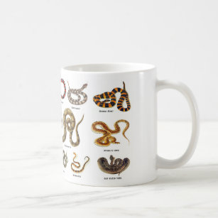 Schlangen-Identifizierungs-Tasse Kaffeetasse