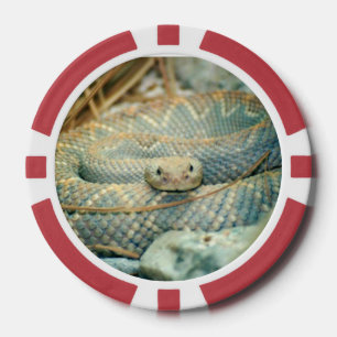Schlangen-Poker-Chips Pokerchips