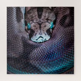 Schlangenboa Anaconda Python Reptile Snakeskin