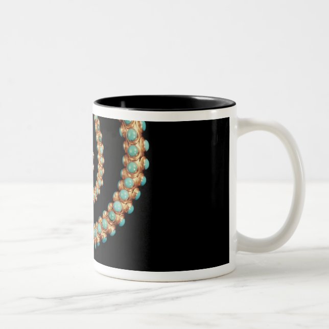 Schlangenhalskette, 1844 zweifarbige tasse (Rechts)