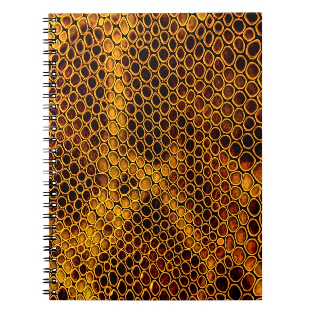 Schlangenhaut Notizblock (Vorderseite)