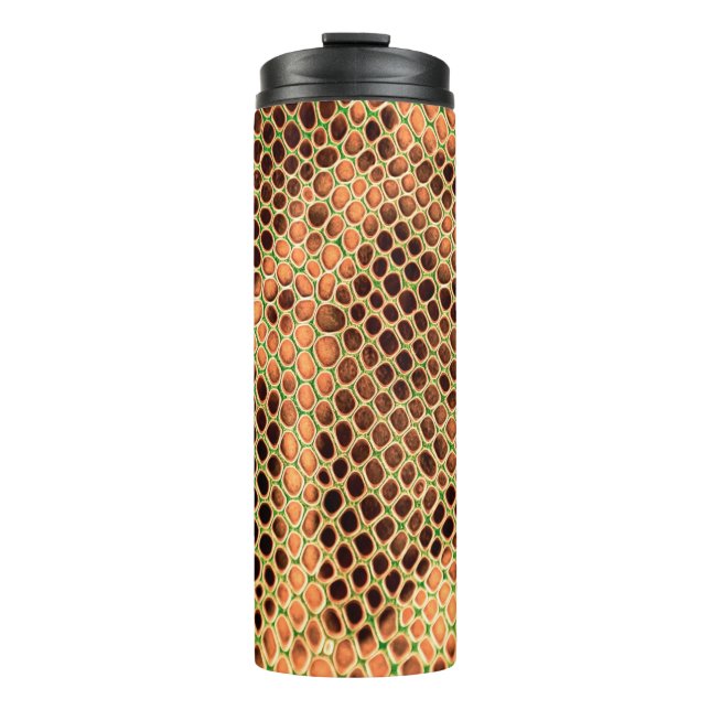 Schlangenhaut Thermosbecher (Vorderseite)