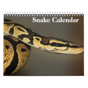 Schlangenkalender 2025 kalender