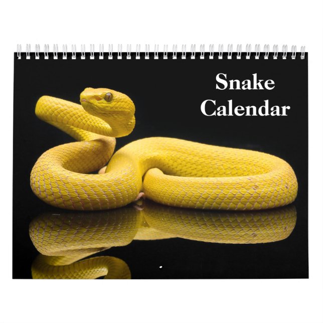 Schlangenkalender 2026 kalender (Titelbild)