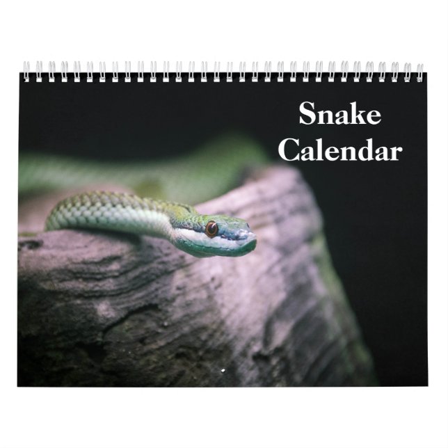 Schlangenkalender 2027 kalender (Titelbild)