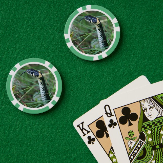 Schlangenkopf Pokerchips (Pokertisch (doppelt))