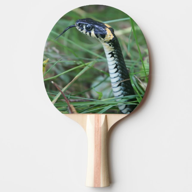 Schlangenkopf Tischtennis Schläger (Vorderseite)