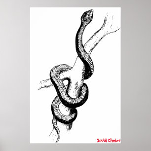 Schlangenposter Poster