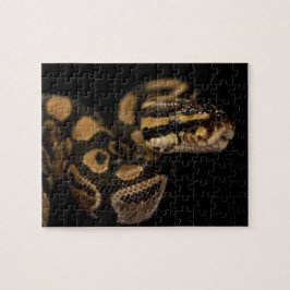 Schlangenpuzzle