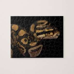 Schlangenpuzzle