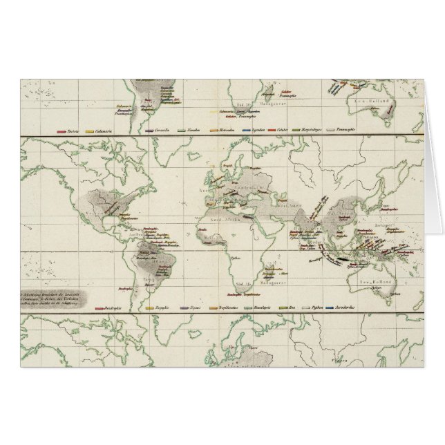 Schlangenverteilungen (Vorderseite (Horizontal))