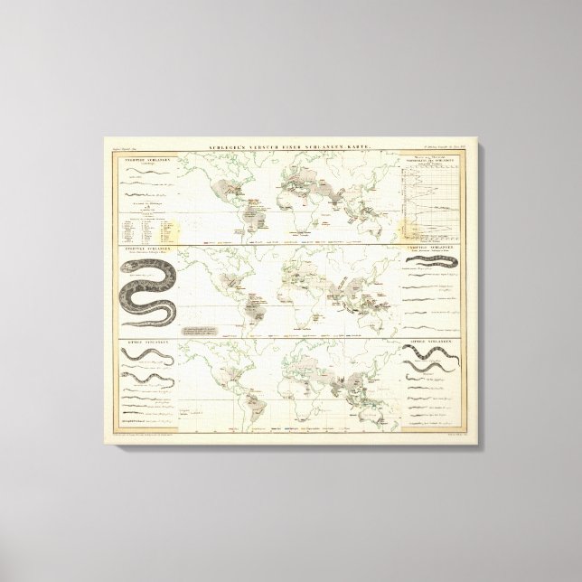 Schlangenverteilungen Leinwanddruck (Vorderseite)